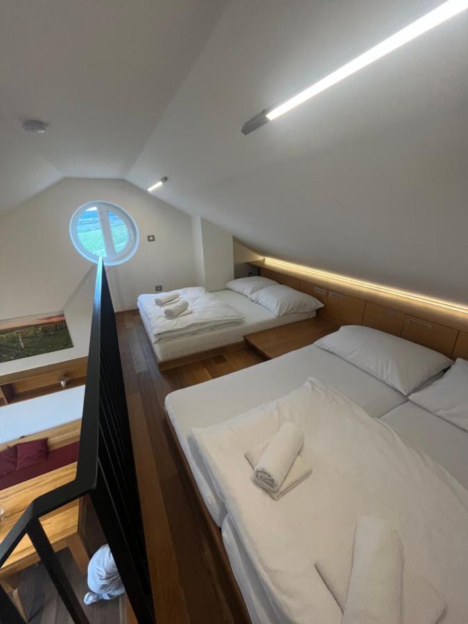 Palava Eu 9 Apartment Павлов Екстериор снимка